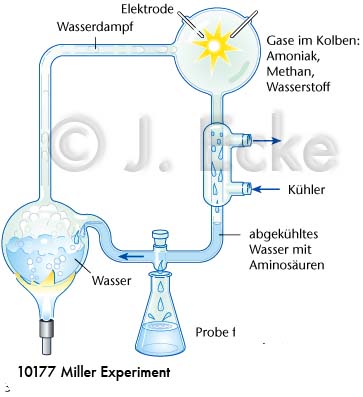 MillerExperiment